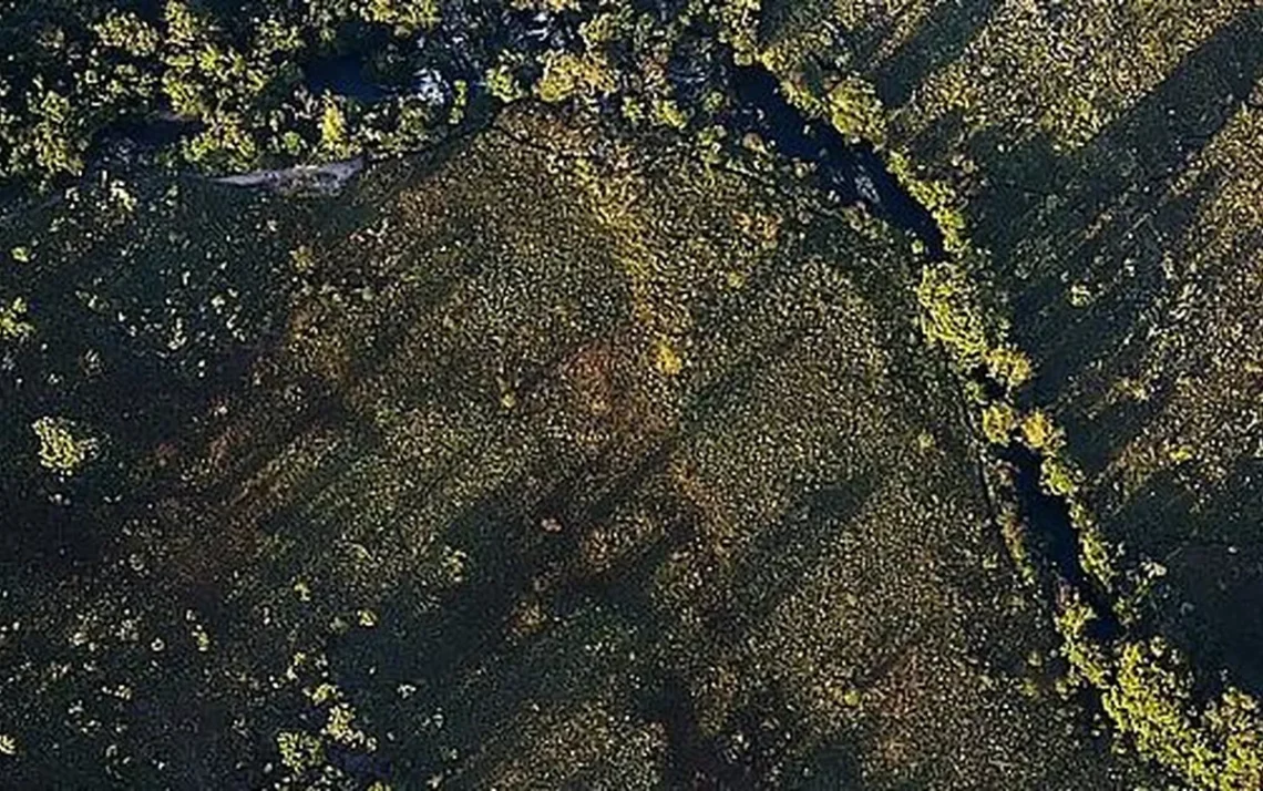 desflorestamento, devastação, degradação ambiental