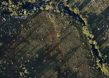 desflorestamento, devastação, degradação ambiental