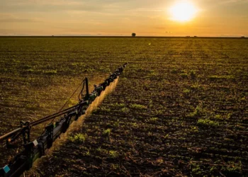 fabricantes de máquinas agrícolas, empresa