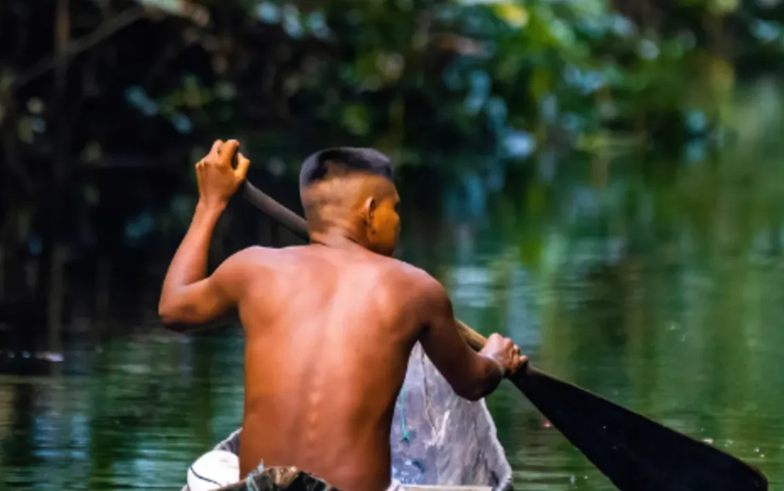 educação para o meio ambiente