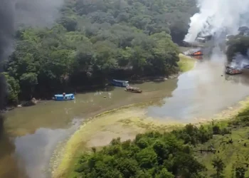 metal, líquido, poluição, ambiental, intoxicação, por mercúrio;