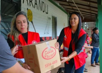 comunidades indígenas, nativos, povos autóctones;