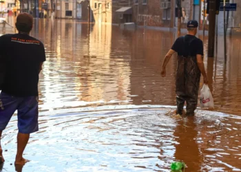 doença infecciosa, febre bactérica;