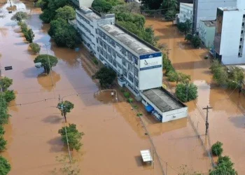 reestruturação, de instituições, de ensino, renovação, de unidades, educacionais, melhoria, de estabelecimentos, escolares;