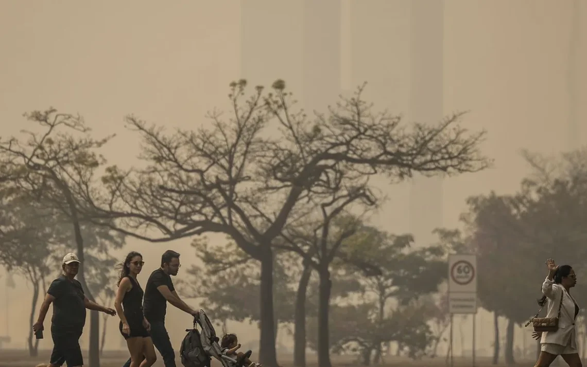 poluentes, neblina, incêndios;