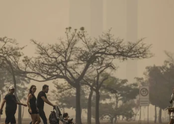 poluentes, neblina, incêndios;