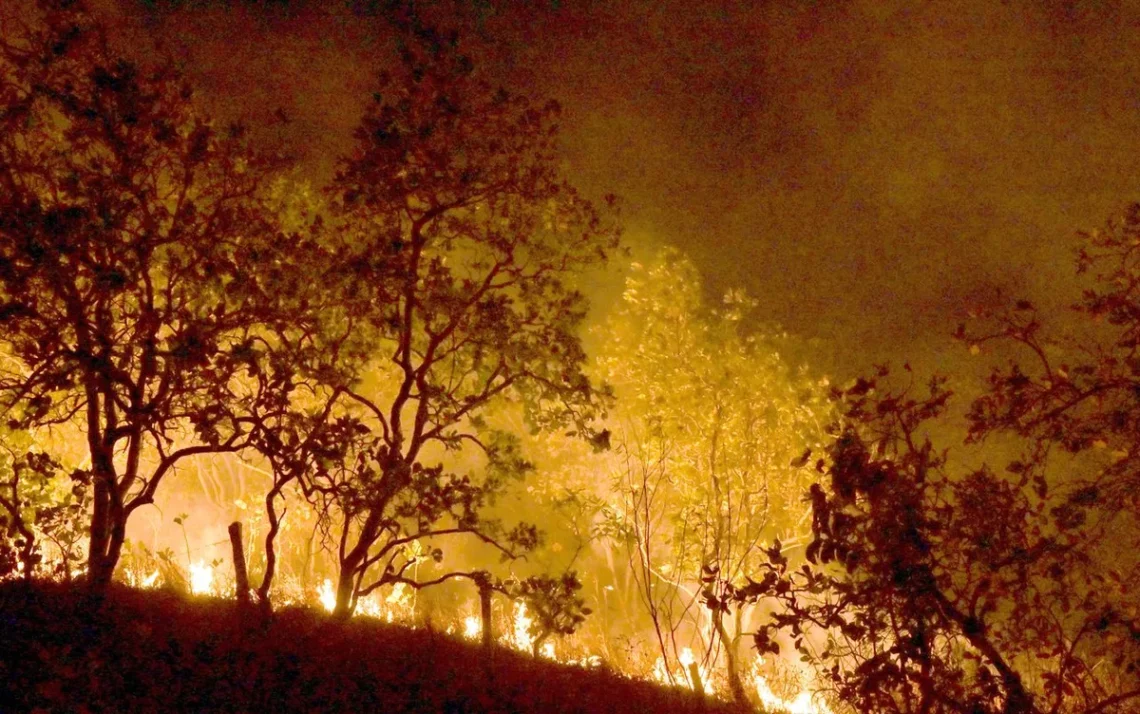 incêndios, chamas, focos;