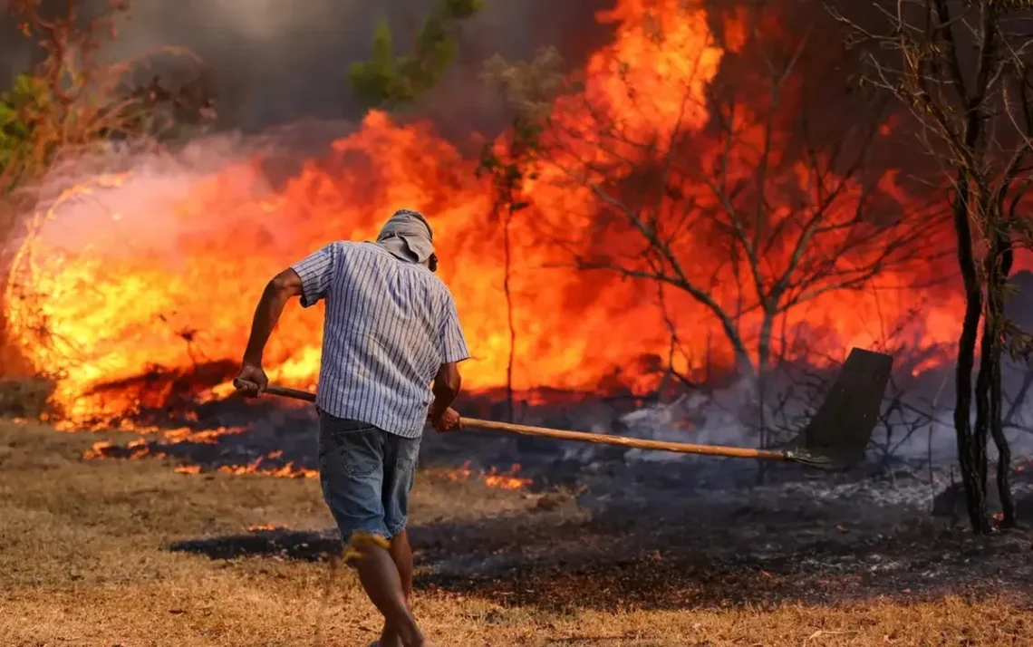 incêndios, focos, de incêndio';