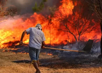 incêndios, focos, de incêndio';