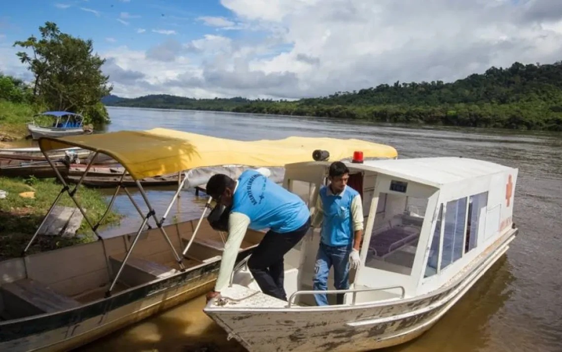 doença, infecciosa, transmitida, mosquito