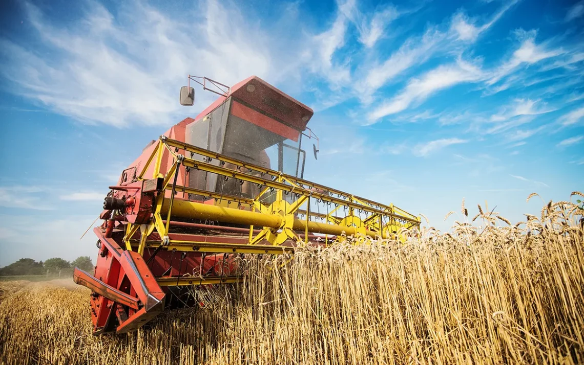 O agronegócio brasileiro é um dos segmentos econômicos de maior evolução e dinamismo, levando a debates sobre como sua expansão - Todos os direitos: @ Mercado e Consumo