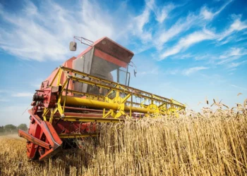 O agronegócio brasileiro é um dos segmentos econômicos de maior evolução e dinamismo, levando a debates sobre como sua expansão - Todos os direitos: @ Mercado e Consumo